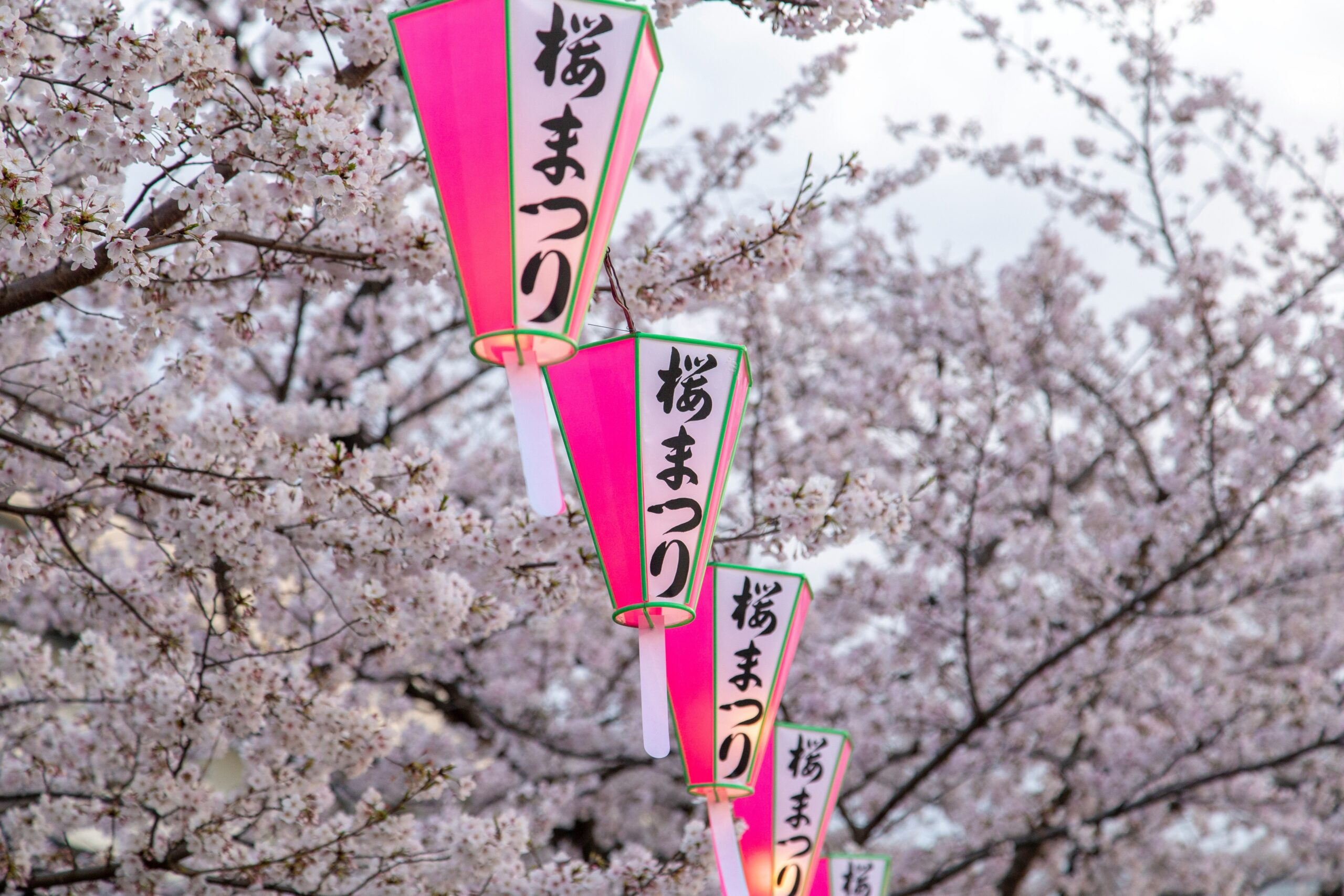 Festivals and Seasonal Traditions - japanese culture and daily life