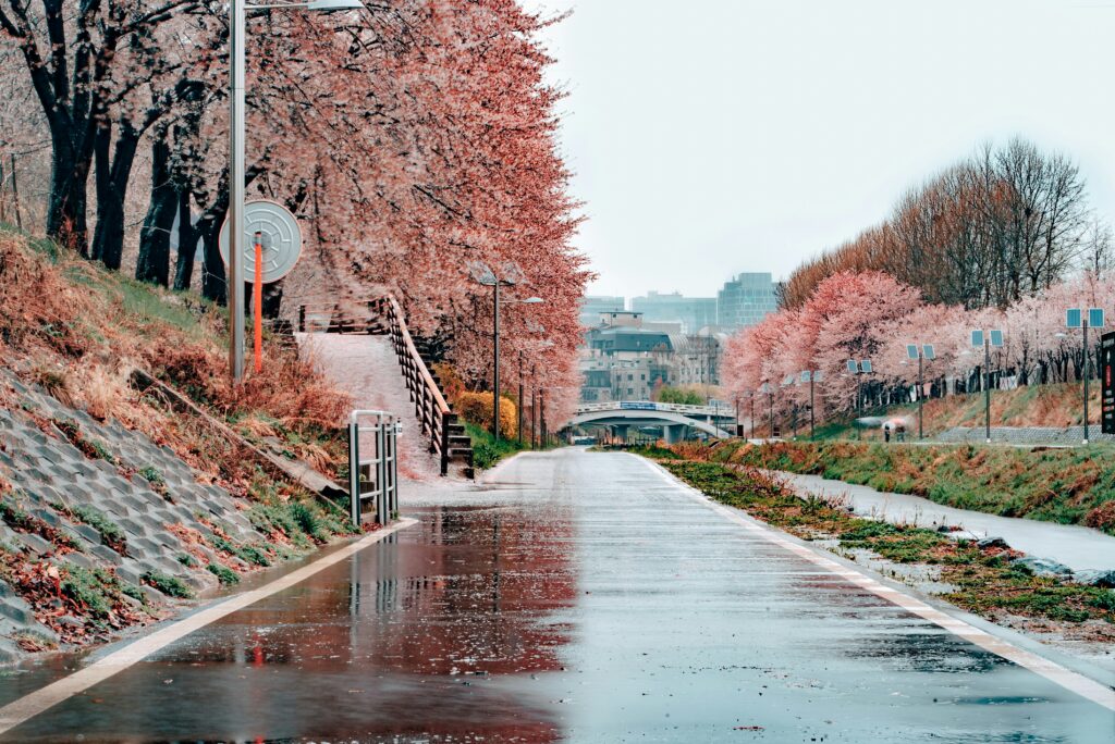 Final thoughts - best time to visit Japan