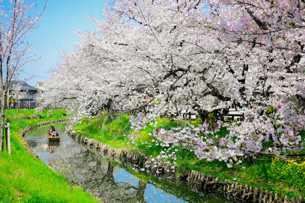 Spring - best time to visit Japan