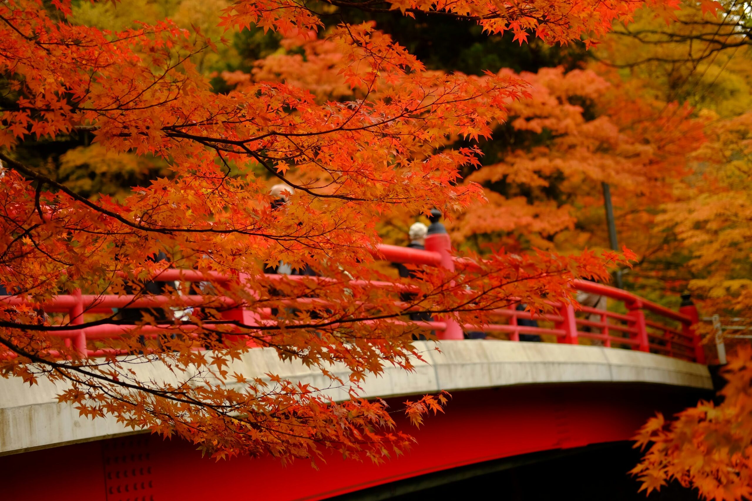 Autumn - best time to visit Japan