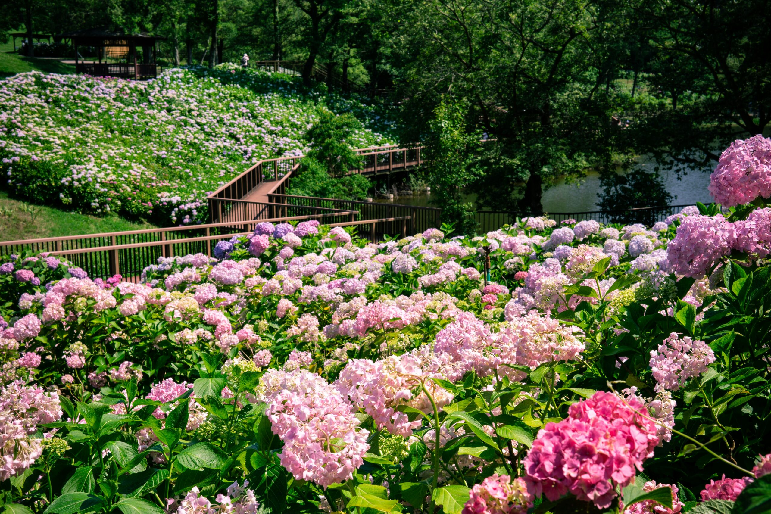 best time to visit Japan