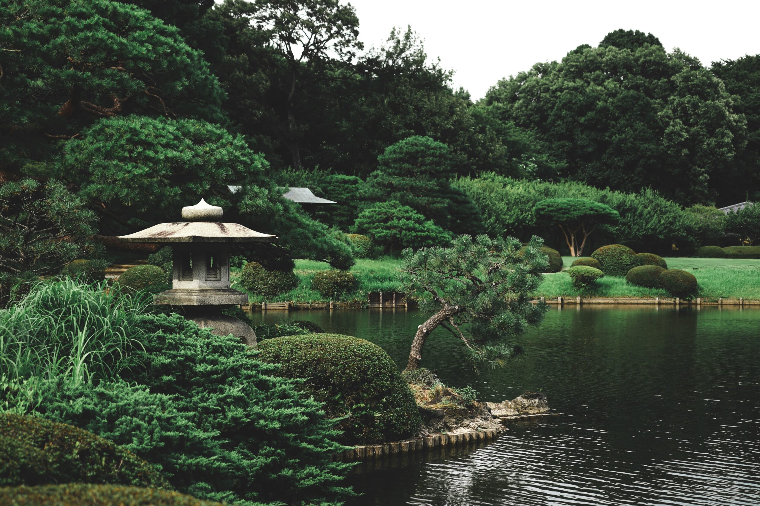 Photography etiquette - Japanese culture tips