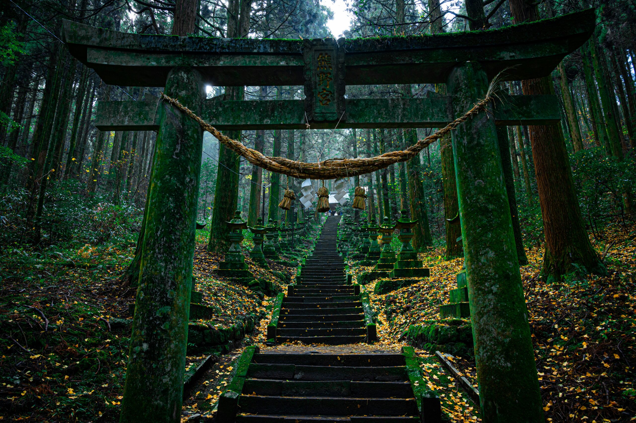 Nature and Outdoor Escapes in Japan