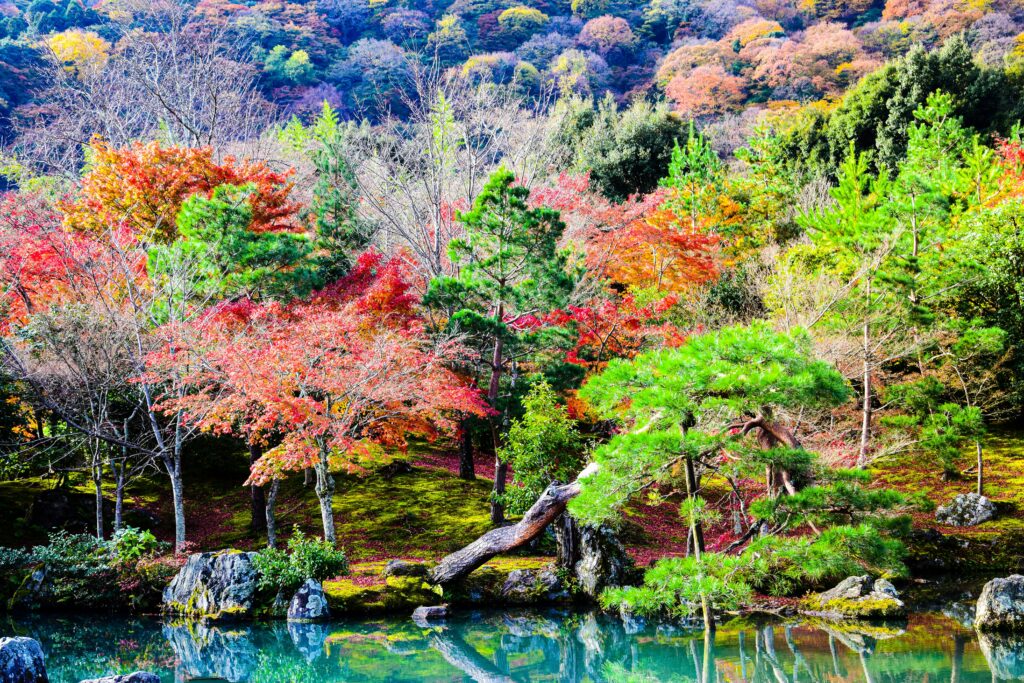 hidden gems in Japan