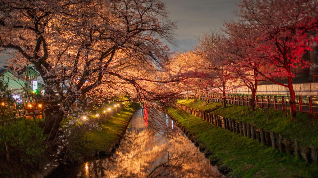 Historic Towns and Castles in Japan - Edo Streets