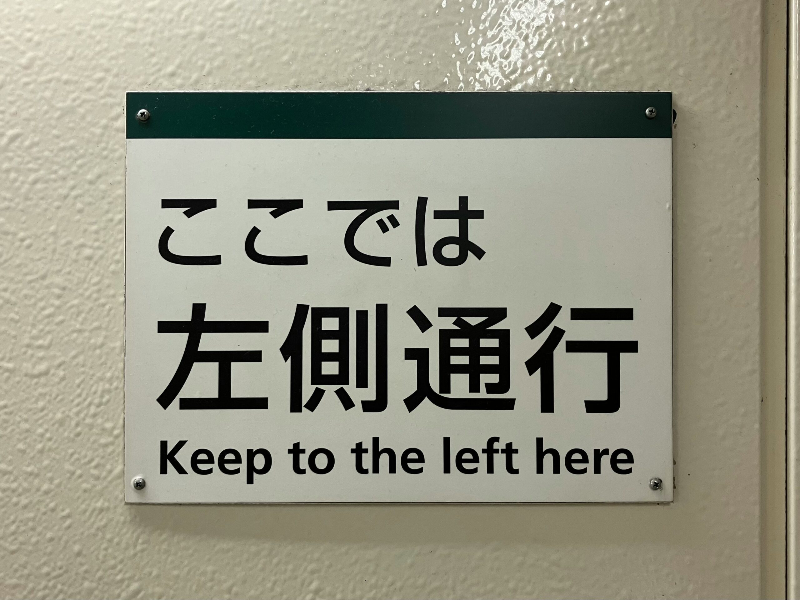 Essential Japanese grammar points - please do